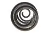 Пружина (задня) Nissan Qashqai 1.5dCi/1.6/dCi/2.0/dCi 07-14 Solgy 212147 (фото 5)