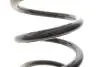 Пружина (задня) Ford C-Max 1.6-2.0/1.6-2.0TDCI 07-10 Solgy 212139 (фото 3)