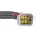 Фото 3 - насос масляный Citroen Berlingo/Peugeot Partner 1.6 HDi 10- METZGER 8000069 Насос масляный Citroen Berlingo/Peugeot Partner 1.6 HDi 10- METZGER 8000069 (фото 3)
