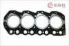 Прокладка головки циліндрів Elwis Royal 0022448 (фото 1)