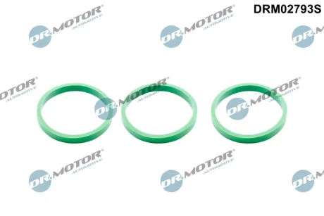 Прокладка колектора к-т 3 шт DR MOTOR DRM02793S