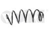 Пружина подвески передняя Audi A3/Skoda Octavia/VW Golf V,VI Jetta (03-19) (4411 Vika 44111611701 (фото 1)