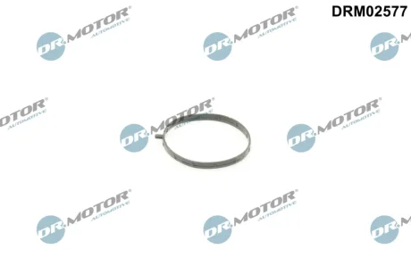 Фото прокладка корпусу дросельної заслiнки DR MOTOR DRM02577 Прокладка корпусу дросельної заслiнки DR MOTOR DRM02577