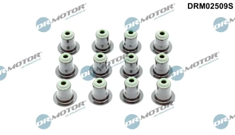 К-т сальники клапанiв 12 шт DR MOTOR DRM02509S