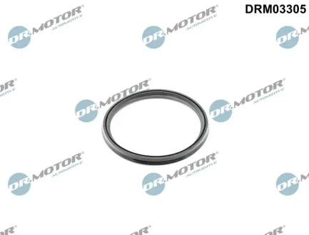 Ущiльнююче кiльце DR MOTOR DRM03305