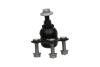 VW Опора кульова передн. ID.3 19-, SKODA KAVO PARTS SBJ-10012 (фото 4)