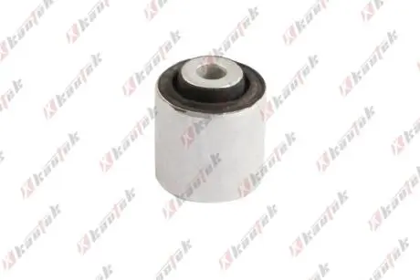 BMW С/блок важеля підвіски задн. X3/F25, X4/F26 KAUTEK BM-BS166