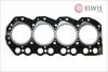 Прокладка головки блока циліндрів Elwis Royal 0022446 (фото 1)