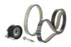 SKF FORD К-кт ГРМ ( ролик, ремінь 2шт., гвинт) B-MAX (JK) 1.0 EcoBoost 12-, FIESTA VI (CB1, CCN) 1.0 12-17 VKMA 04229-1