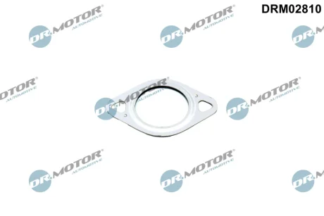 USZCZELKA ZAWORU EGR VW PORSCHE DR MOTOR DRM02810