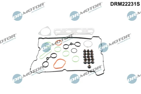 USZCZELKI - ZESTAW MINI PSA DR MOTOR DRM22231S