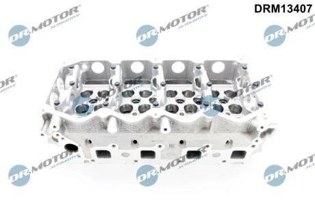 GŁOWICA CYLINDRÓW NISSAN DR MOTOR DRM13407
