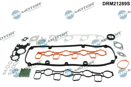 USZCZELKI - ZESTAW VAG DR MOTOR DRM21289S
