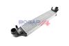 INTERCOOLER BOGAP C4220139 (фото 1)
