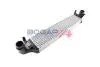 INTERCOOLER BOGAP C4220139 (фото 1)