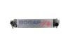 INTERCOOLER BOGAP B4220121 (фото 1)