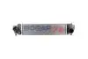INTERCOOLER BOGAP B4220121 (фото 1)