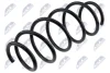 ПРУЖИНА ПОДВЕСКИ NTY ASZFR051 (фото 1)
