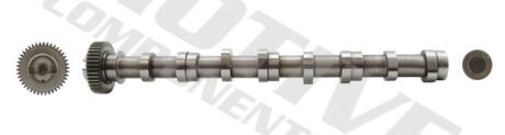 WALEK ROZRZADU SS. VW 2. 0TDI CADDY 10- MOTIVE T2622