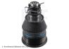 Кульова опора ACURA TLX HONDA ACCORD IX 3.5 09.12- BLUE PRINT ADBP860216 (фото 1)