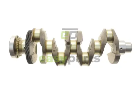 Колінчастий вал Land Rover Range Rover 2.0D (240PS) 14- ROTWEISS LR090358