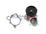 Помпа води BMW 3 (E90/E91/E92) 06-13/X3 (E83) 04-10 BOGAP B4234123 (фото 1)