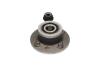 RENAULT Маточина колеса задн. з ABS(44зуб) Kangoo 98- KAVO PARTS WBK-6551 (фото 3)