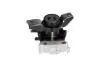 TOYOTA Опора двигуна права RAV 4 III 2.0/2.4 05-13 KAVO PARTS EEM-9379 (фото 4)