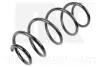 Suspension Spring NK 5347239 (фото 1)