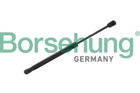 Автозапчасть BORSEHUNG B12474