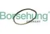 Автозапчасть BORSEHUNG B12768 (фото 1)
