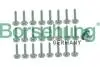 Автозапчасть BORSEHUNG B12749 (фото 1)