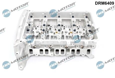 G┼üOWICA SILNIKA FORD DR MOTOR DRM6409