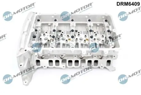 G┼üOWICA SILNIKA FORD DR MOTOR DRM6409