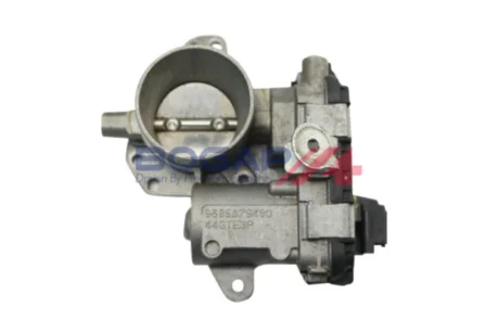 PRZEPUSTNICA BOGAP P6319104