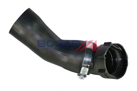 KOLEKTOR SSACY BOGAP B1712104