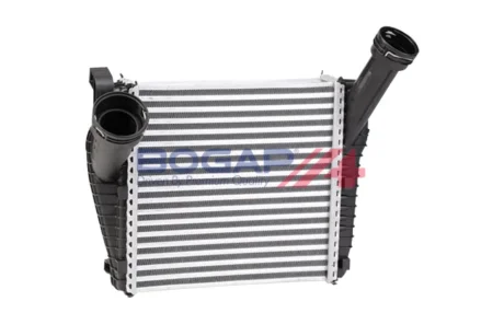 INTERCOOLER BOGAP A4220123