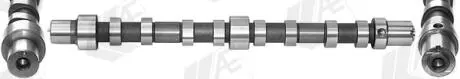 WALEK ROZRZADU SSACY AE CAM1054