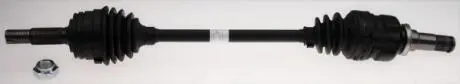 POLOS LE GKN (Lobro) 306785