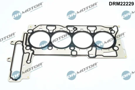 USZCZELKA GŁOWICY BMW DR MOTOR DRM22229