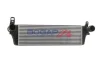 INTERCOOLER BOGAP A4220109 (фото 1)