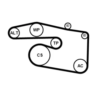 Фото zestaw paska micro-v Contitech 5PK1815K1 ZESTAW PASKA MICRO-V Contitech 5PK1815K1