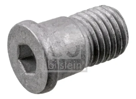 Болт кріплення гальмівного диску FEBI BILSTEIN 198534