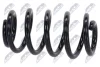 ПРУЖИНА ПОДВЕСКИ NTY ASZAU031 (фото 3)