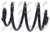 ПРУЖИНА ПОДВЕСКИ NTY ASZCH030 (фото 3)