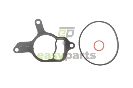 Прокладка насоса вакуумного VW Golf VI/Jetta III/IV 2.5 06- (к-кт) ADLER 07K145215A KIT