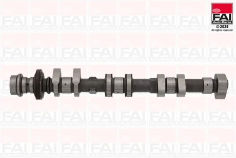 FORD Кулачковий вал (для впускних клапанів) C-MAX II (DXA/CB7, DXA/CEU) 1.0 EcoBoost 12-19, FIESTA VII (HJ, HF) 1.0 EcoBoost Active 18- FAI C448