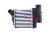 INTERCOOLER BOGAP A4220108 (фото 1)