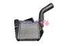 INTERCOOLER BOGAP A4220118 (фото 1)