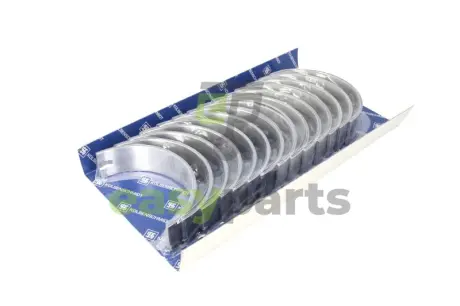 Вкладиш KOLBENSCHMIDT 77969620